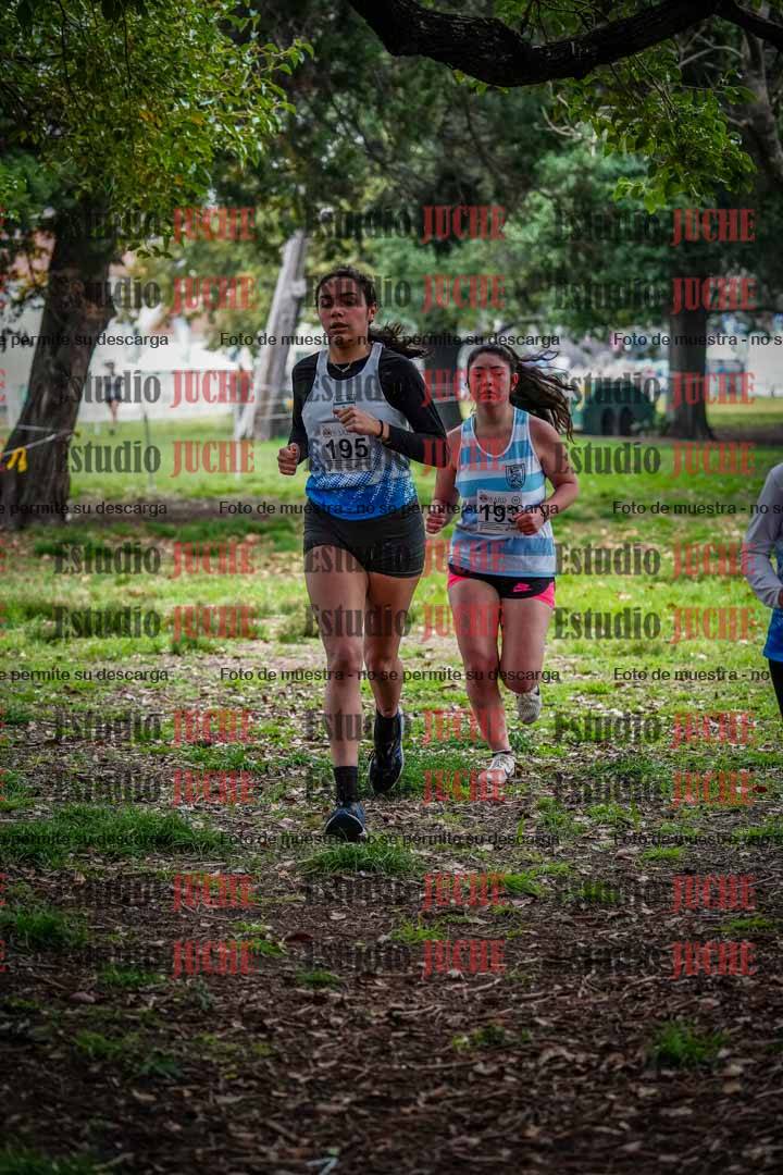 Fotos en el quinto punto del circuito