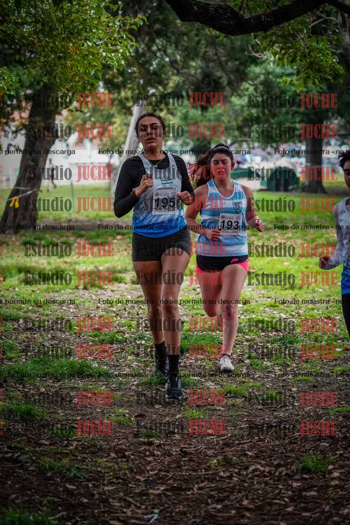 Fotos en el quinto punto del circuito