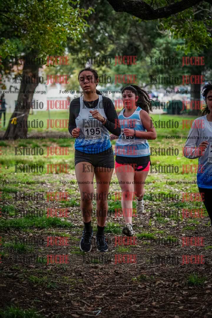 Fotos en el quinto punto del circuito