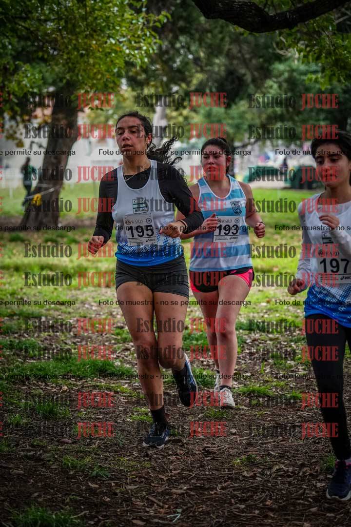 Fotos en el quinto punto del circuito