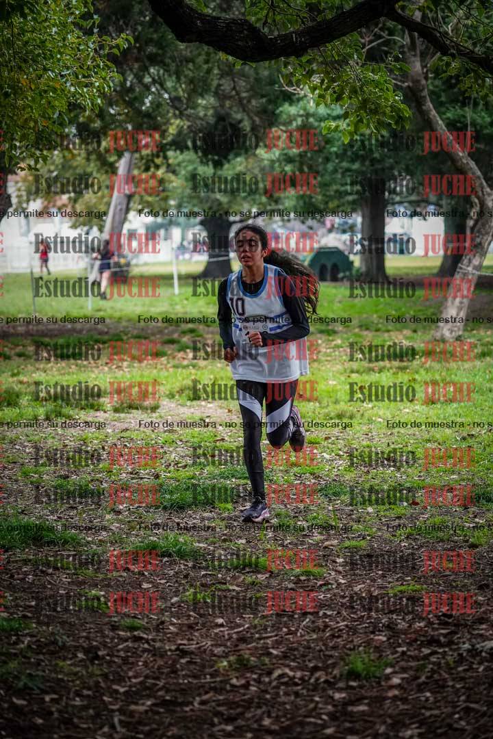 Fotos en el quinto punto del circuito