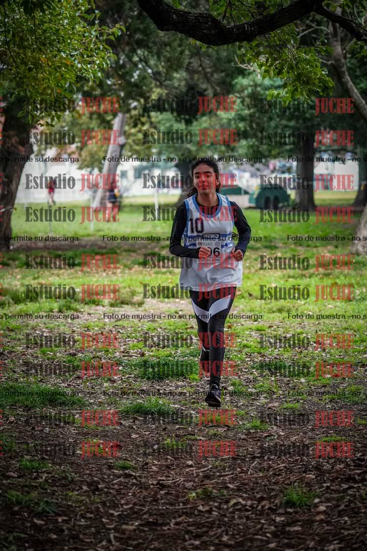 Fotos en el quinto punto del circuito