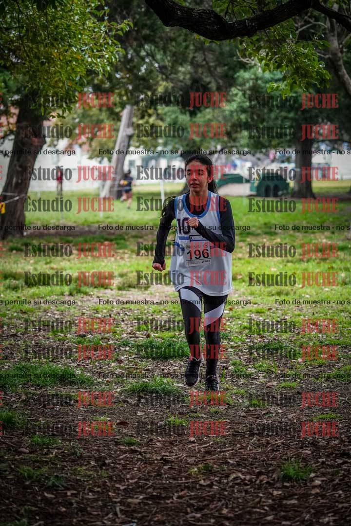 Fotos en el quinto punto del circuito