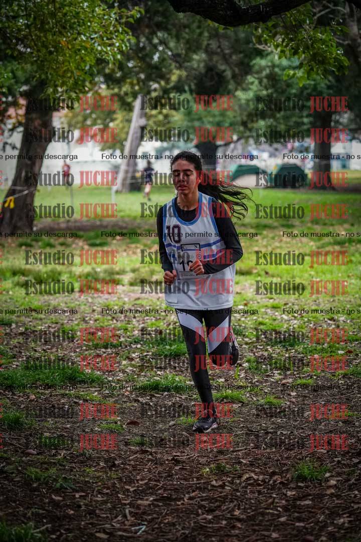 Fotos en el quinto punto del circuito