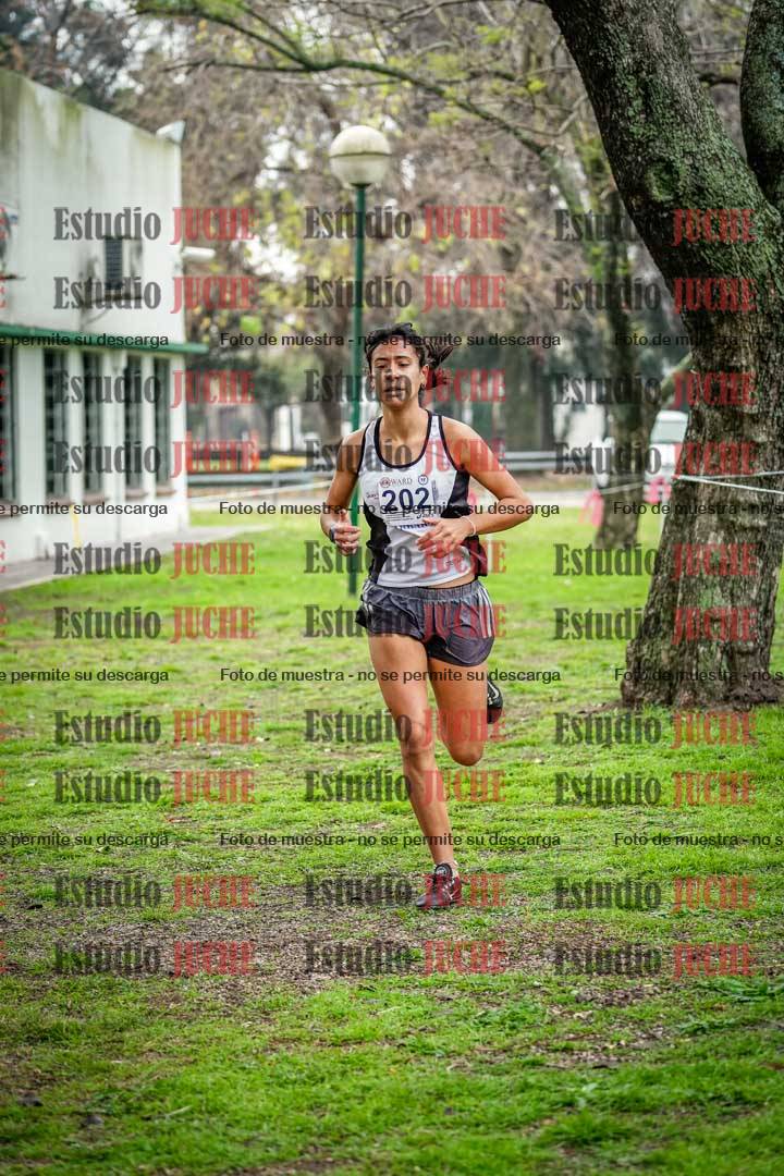 Fotos en el octavo punto del circuito
