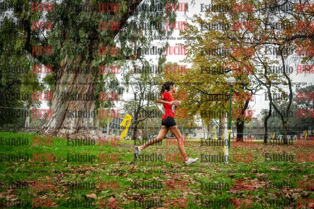 Fotos en el noveno punto del circuito