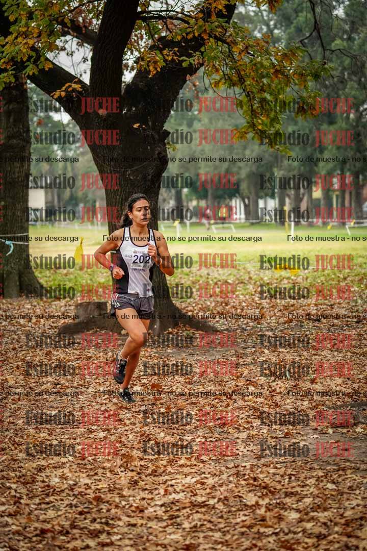 Fotos en el décimo punto del circuito