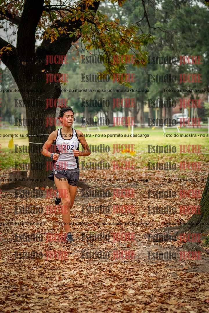 Fotos en el décimo punto del circuito