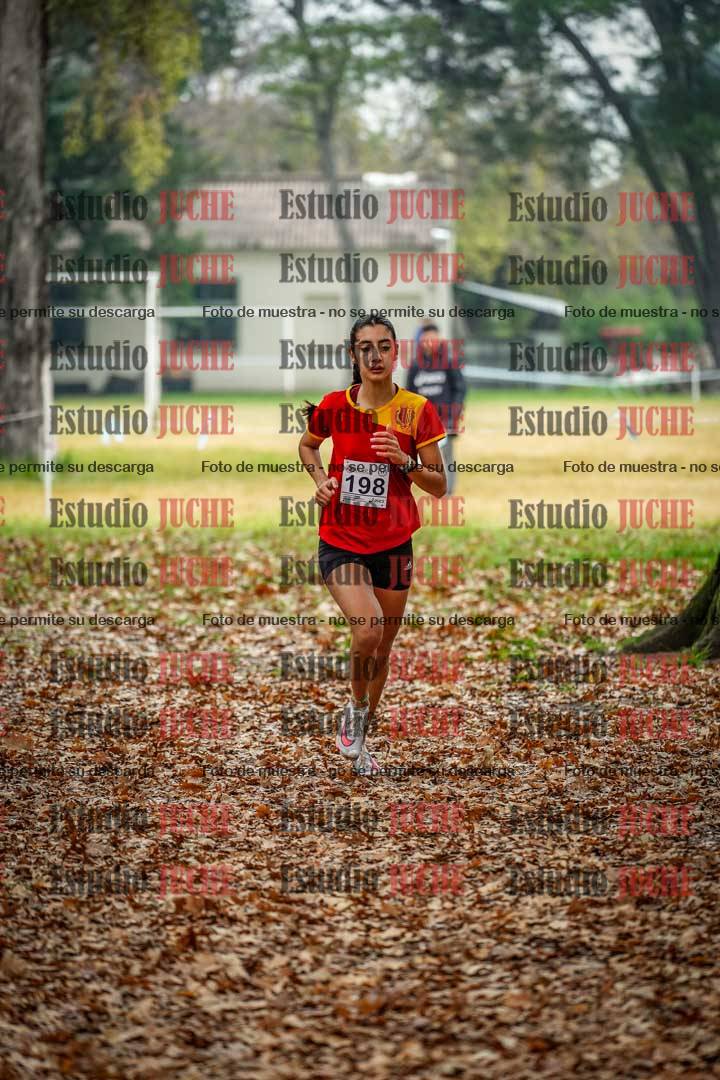 Fotos en el décimo punto del circuito