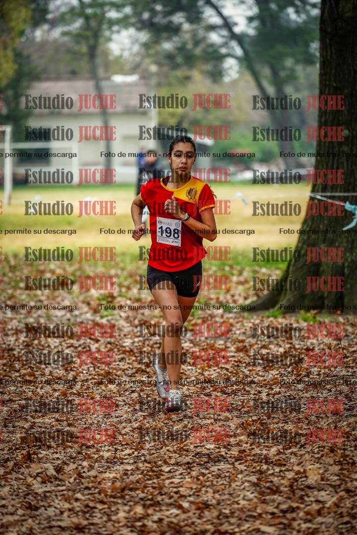 Fotos en el décimo punto del circuito
