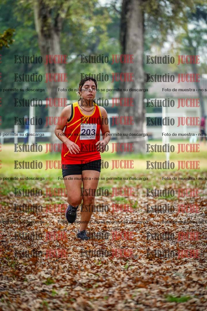 Fotos en el décimo punto del circuito