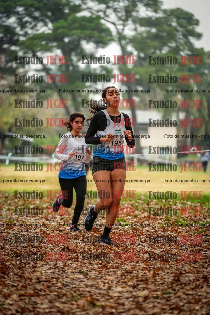 Fotos en el décimo punto del circuito