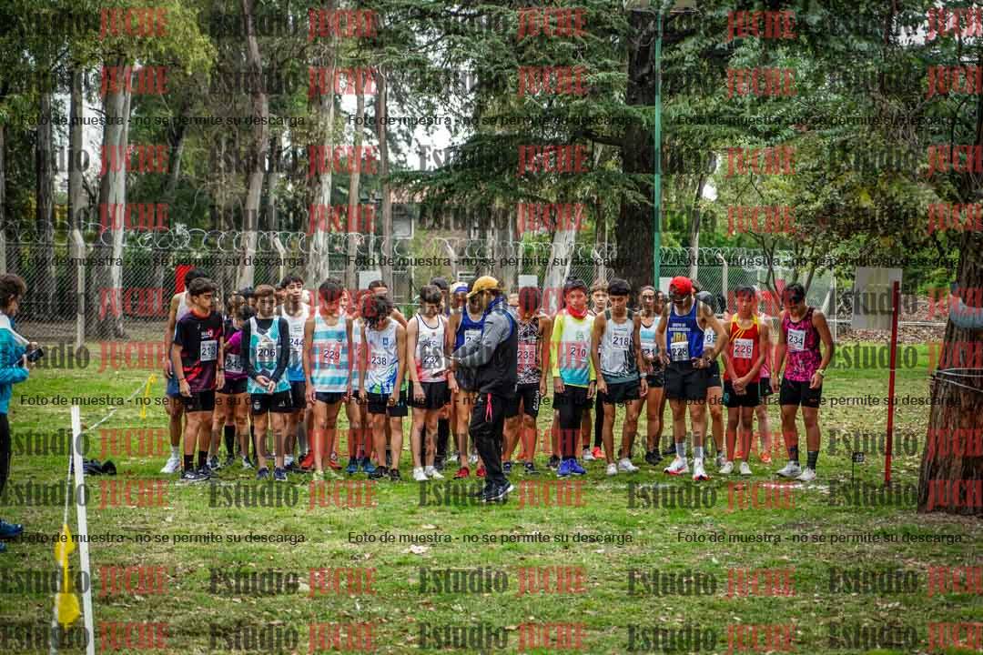 Fotos en de la largada