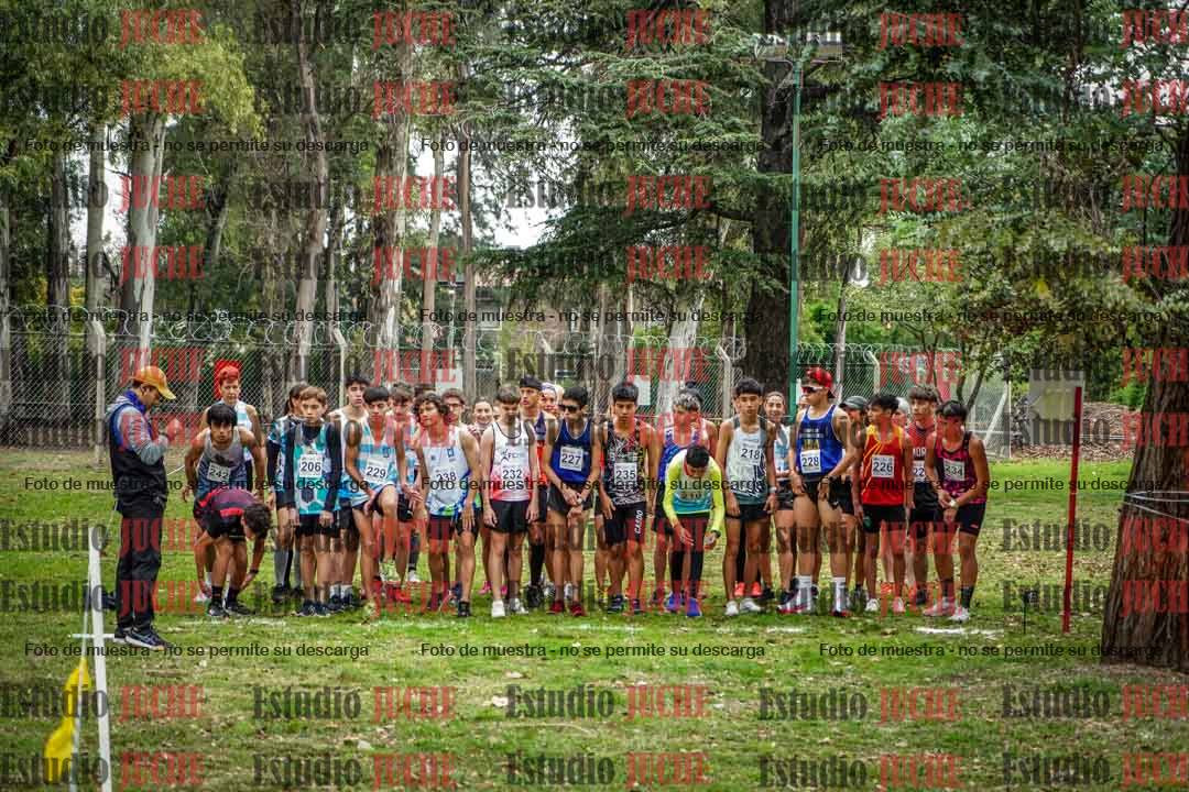 Fotos en de la largada