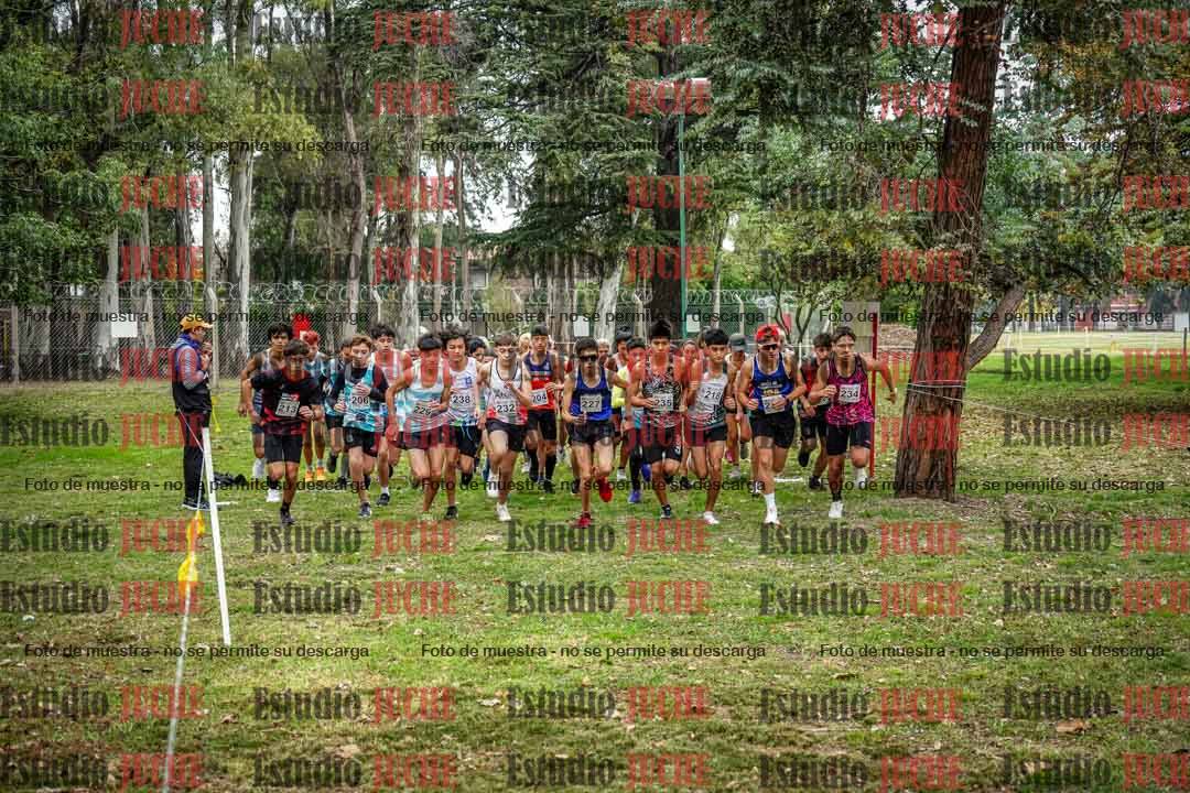 Fotos en de la largada