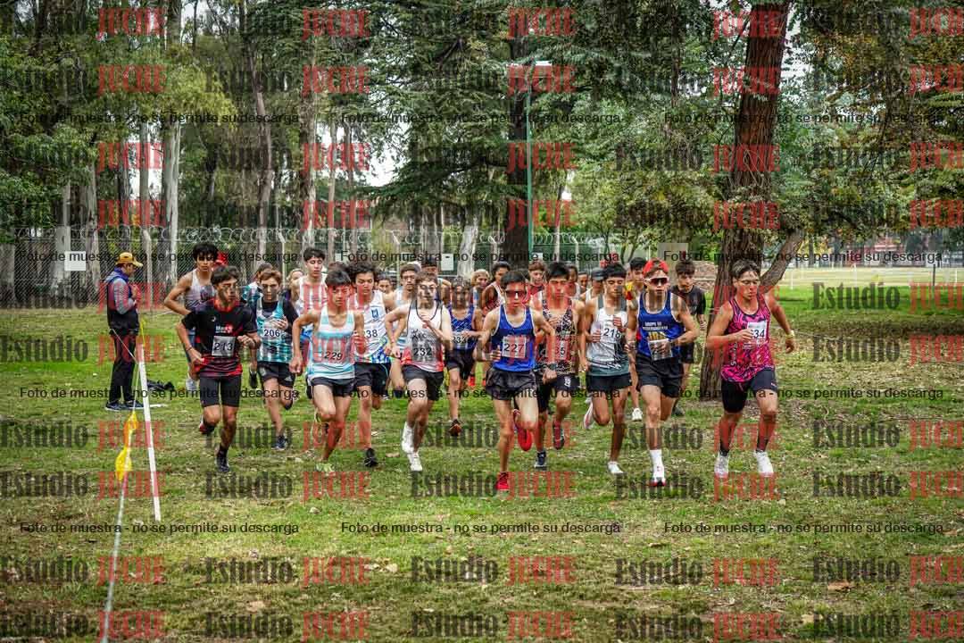 Fotos en de la largada