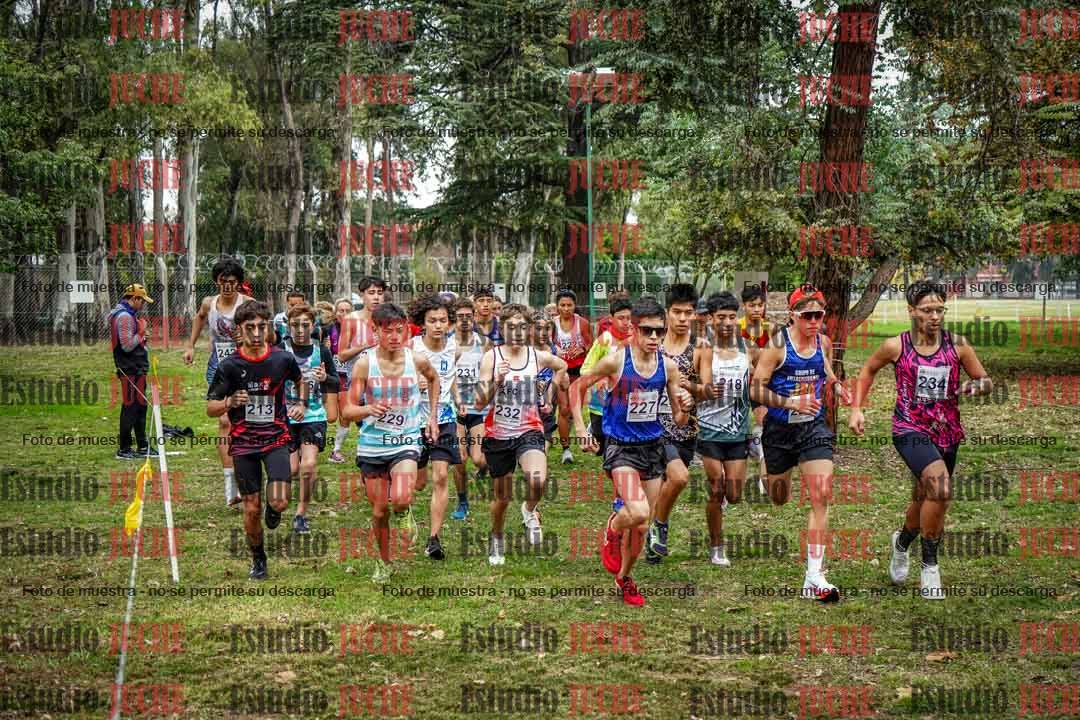 Fotos en de la largada
