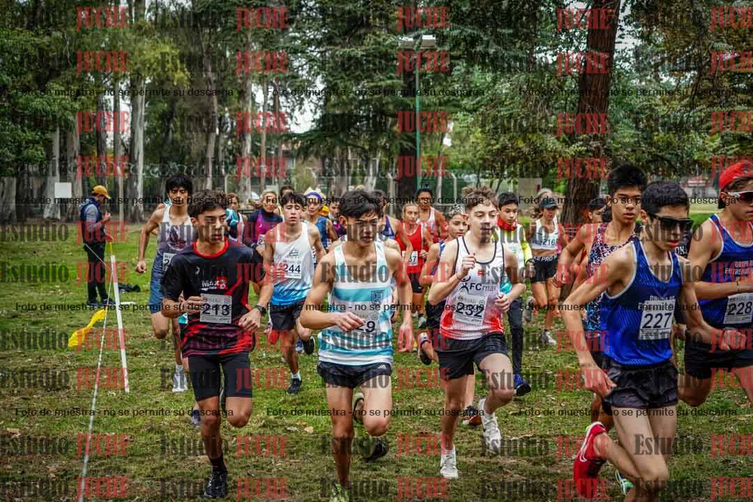 Fotos en de la largada