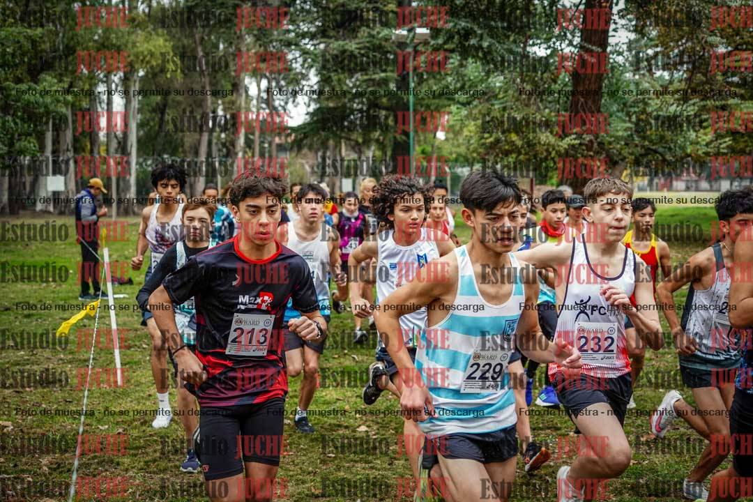 Fotos en de la largada