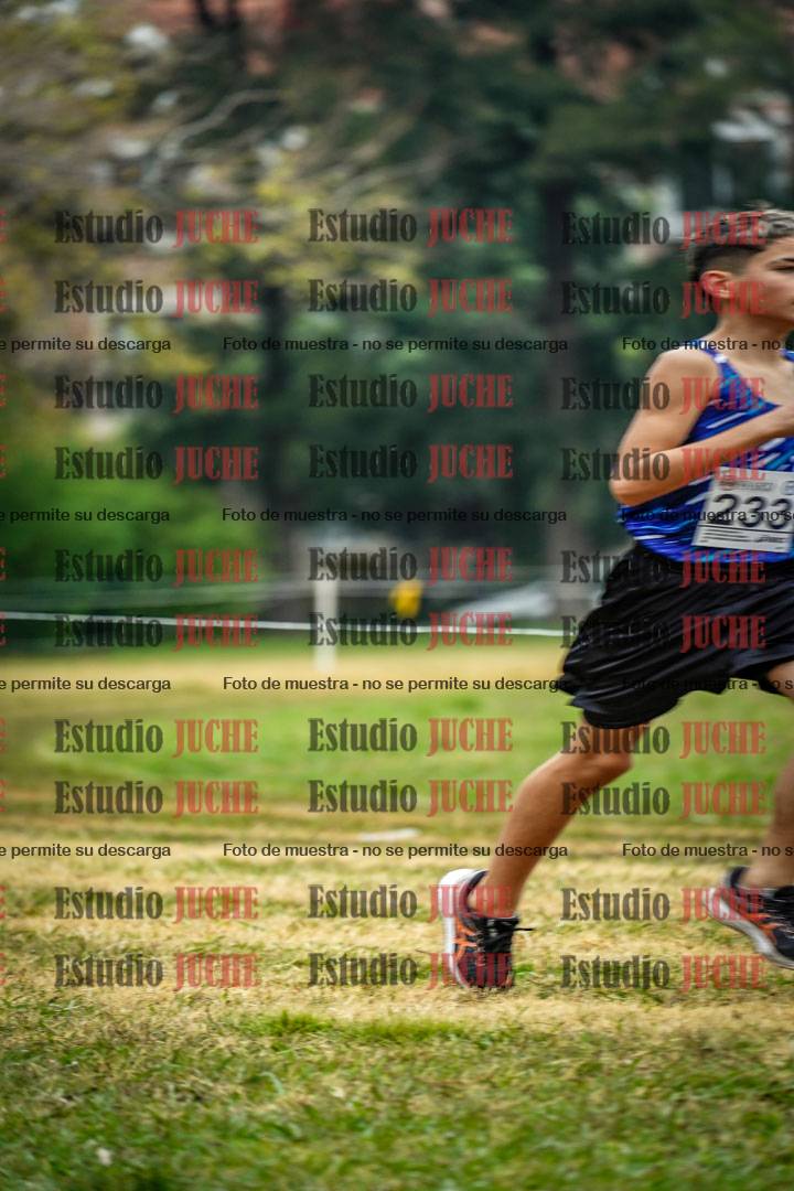 Fotos en el cuarto punto del circuito
