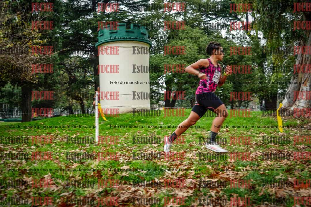 Fotos en el sexto punto del circuito