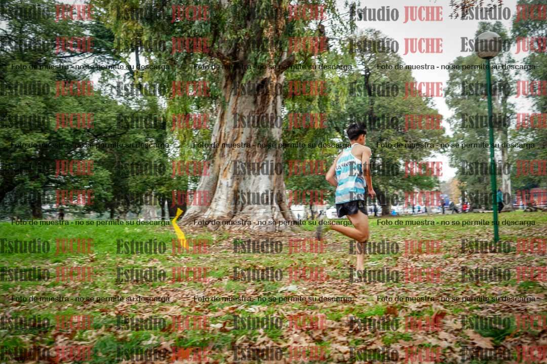 Fotos en el sexto punto del circuito