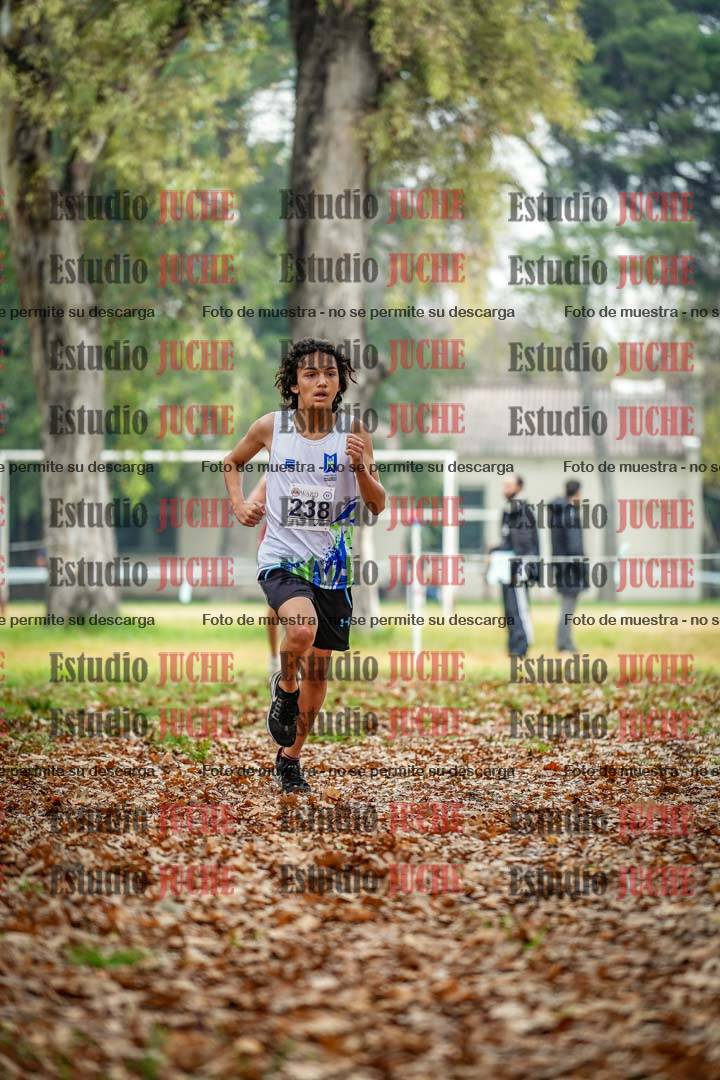 Fotos en el séptimo punto del circuito