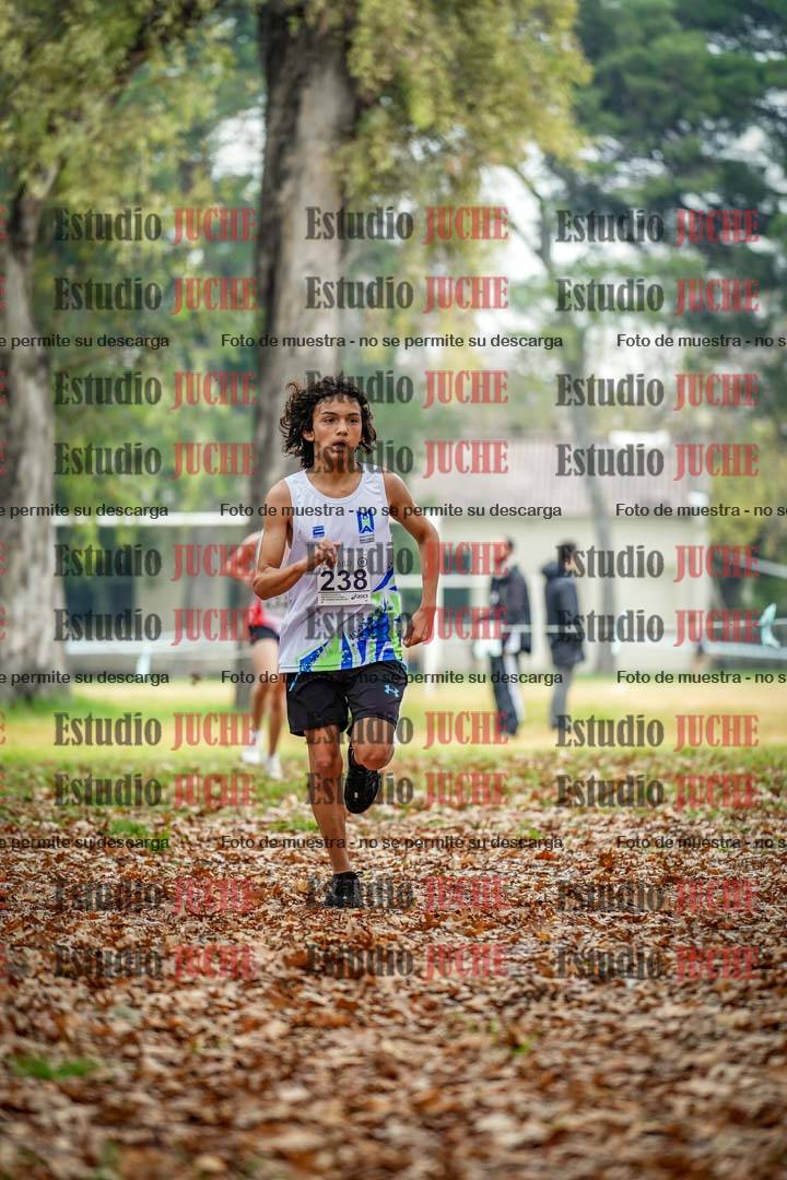 Fotos en el séptimo punto del circuito