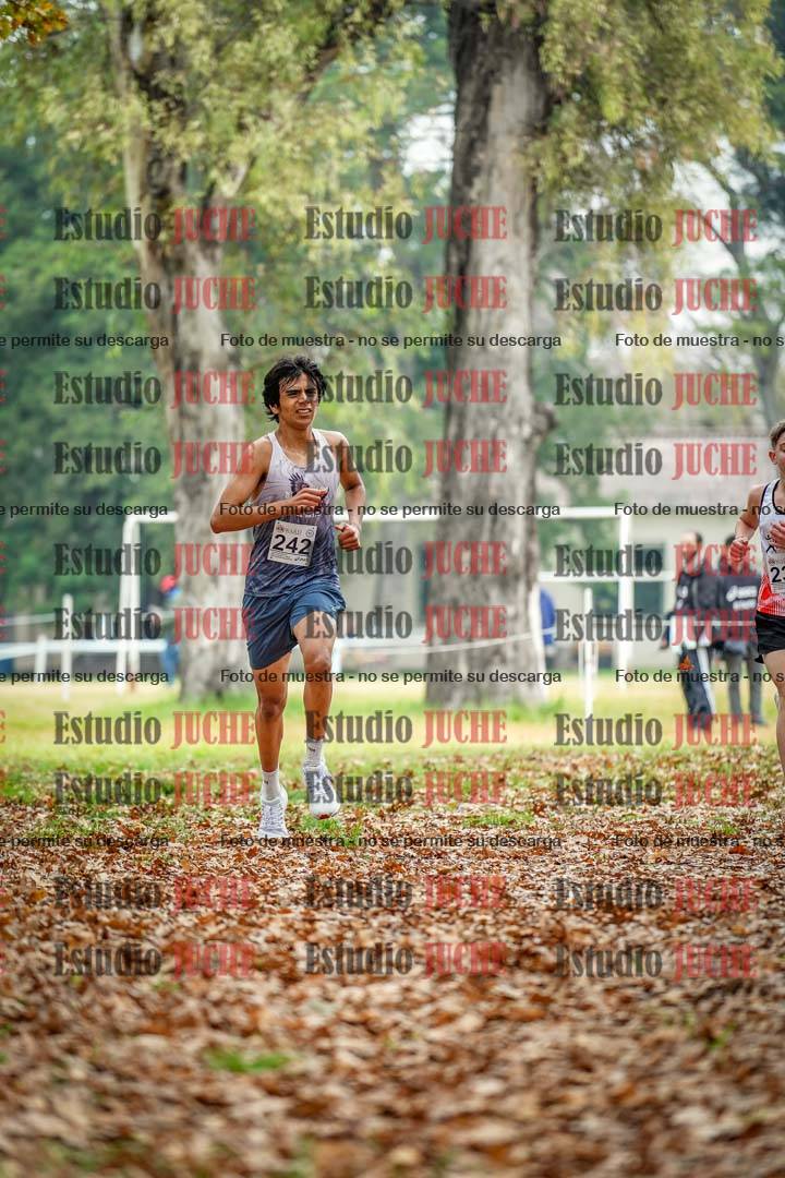 Fotos en el séptimo punto del circuito