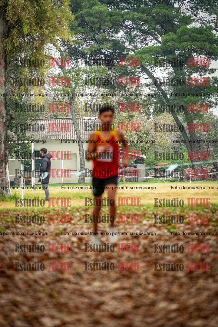 Fotos en el séptimo punto del circuito