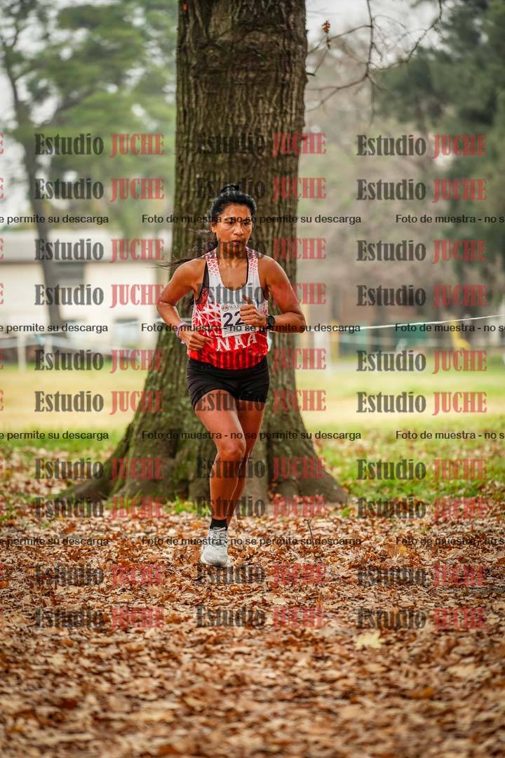 Fotos en el séptimo punto del circuito