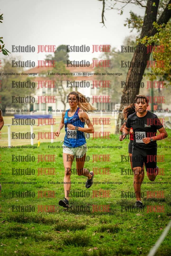 Fotos en el cuarto punto del circuito
