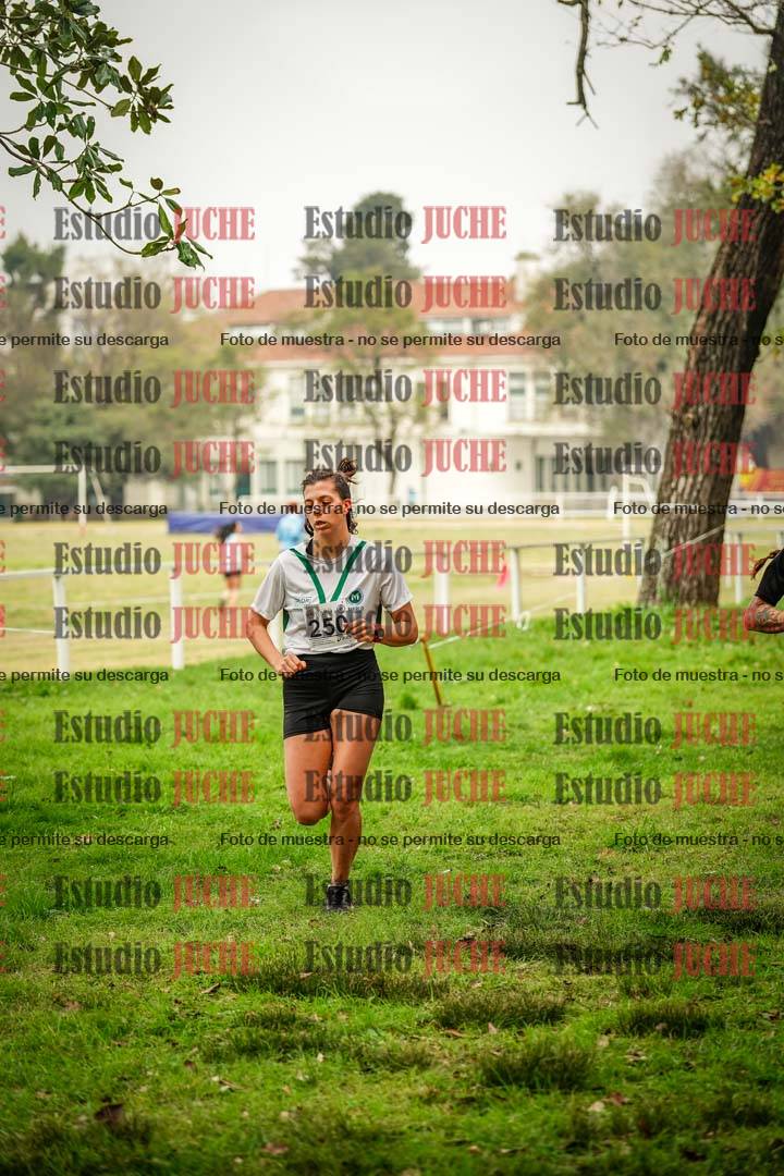Fotos en el cuarto punto del circuito