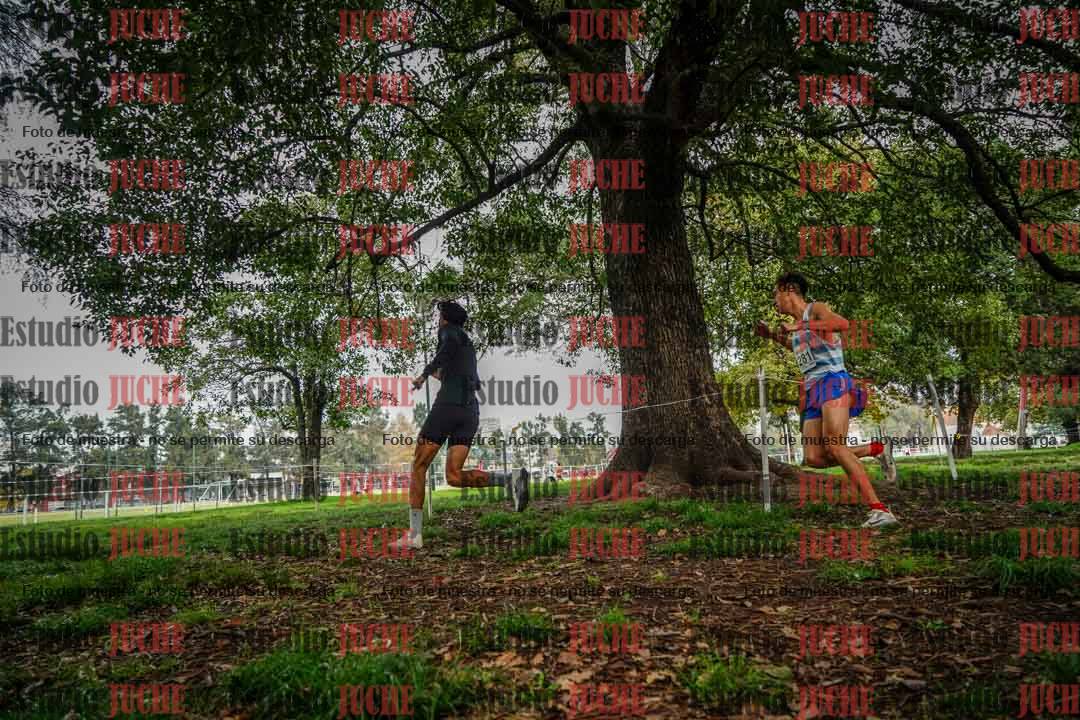 Fotos en el séptimo punto del circuito