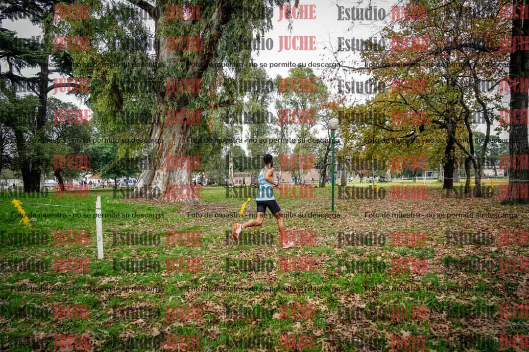 Fotos en el octavo punto del circuito