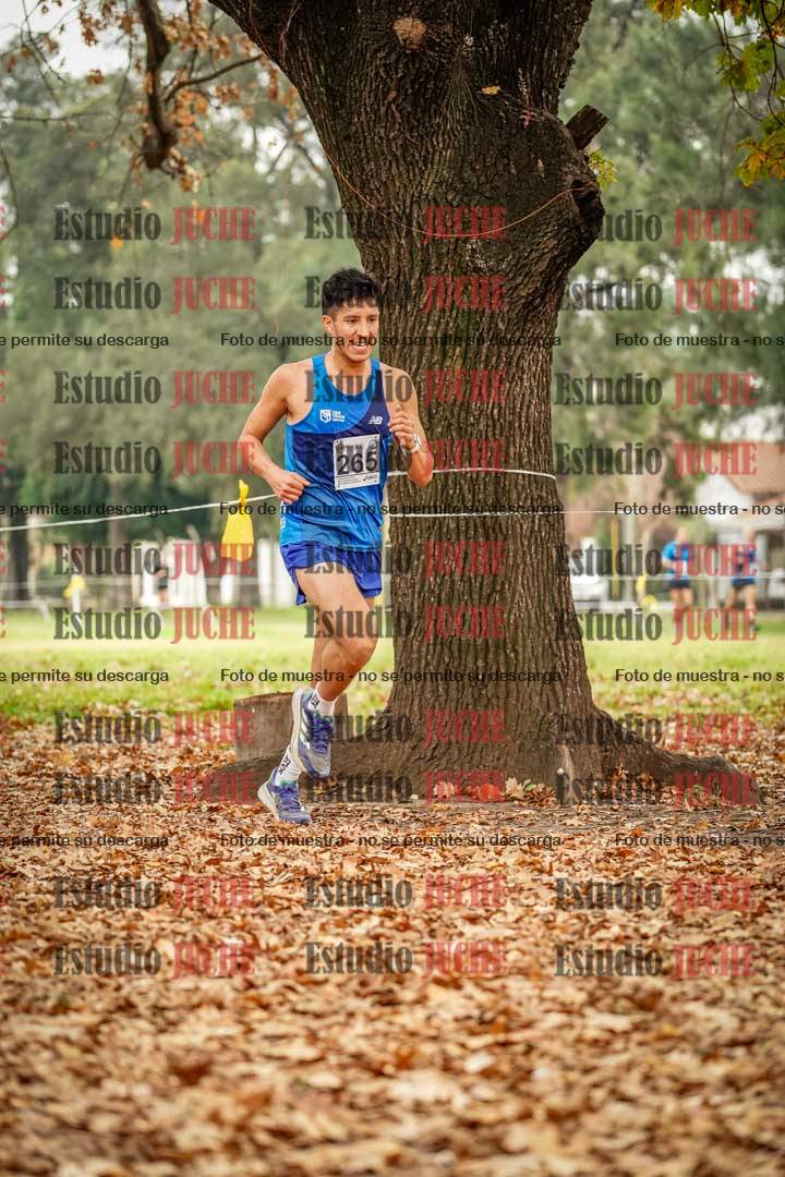 Fotos en el noveno punto del circuito
