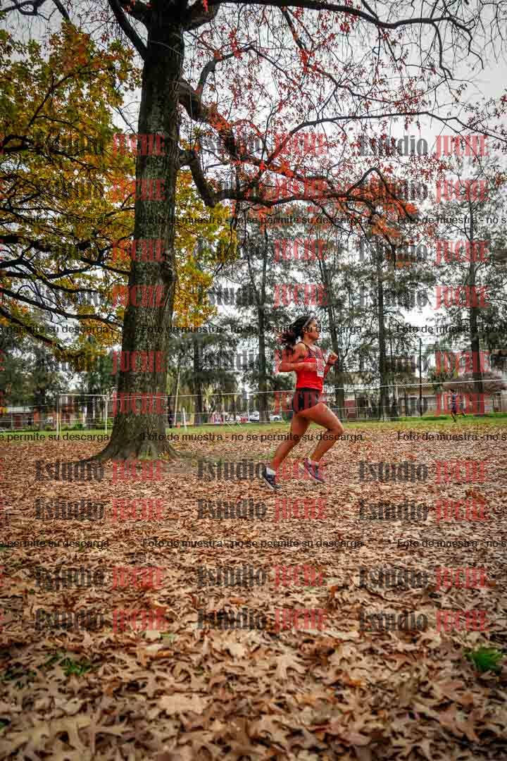 Fotos en el noveno punto del circuito