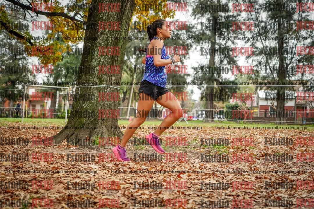 Fotos en el noveno punto del circuito
