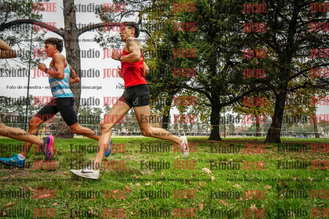 Fotos en el sexto punto del circuito