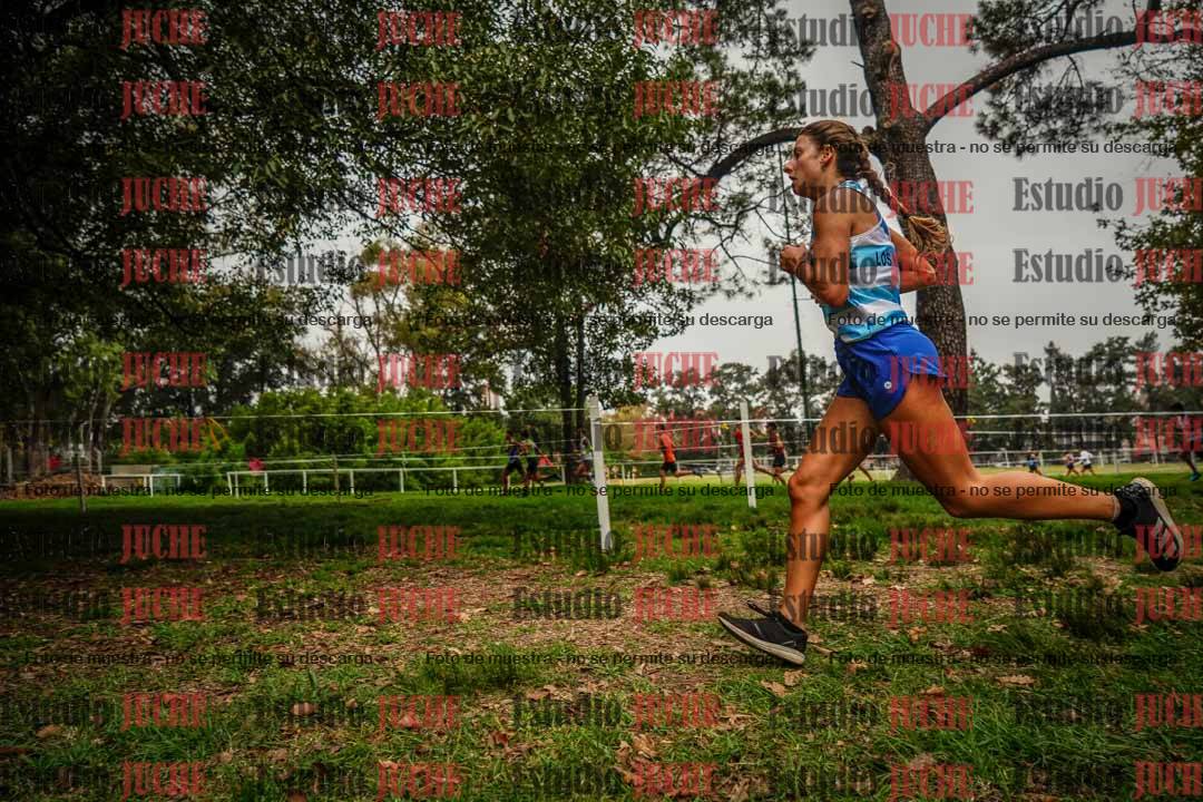Fotos en el sexto punto del circuito