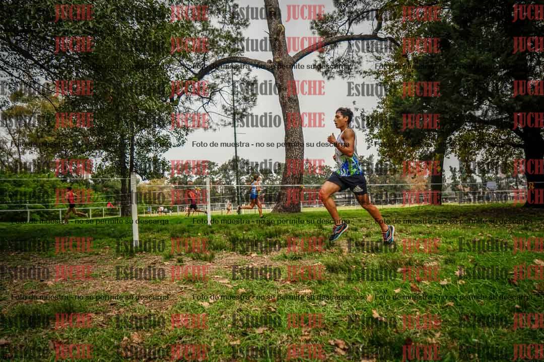 Fotos en el sexto punto del circuito