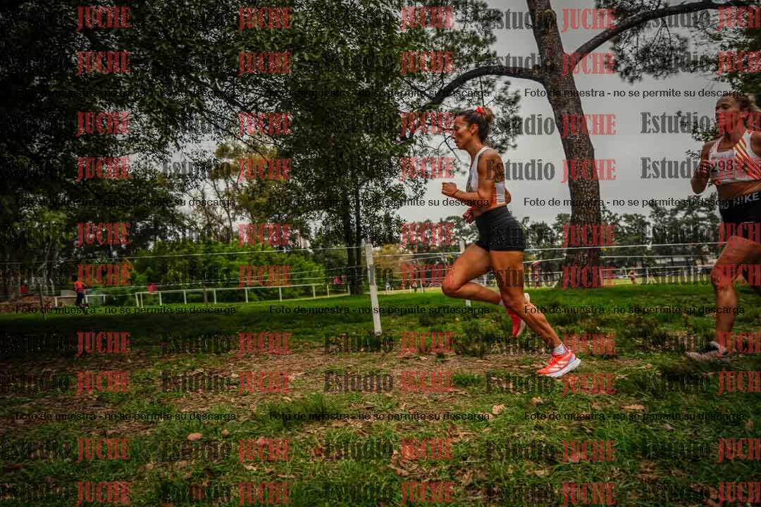 Fotos en el sexto punto del circuito