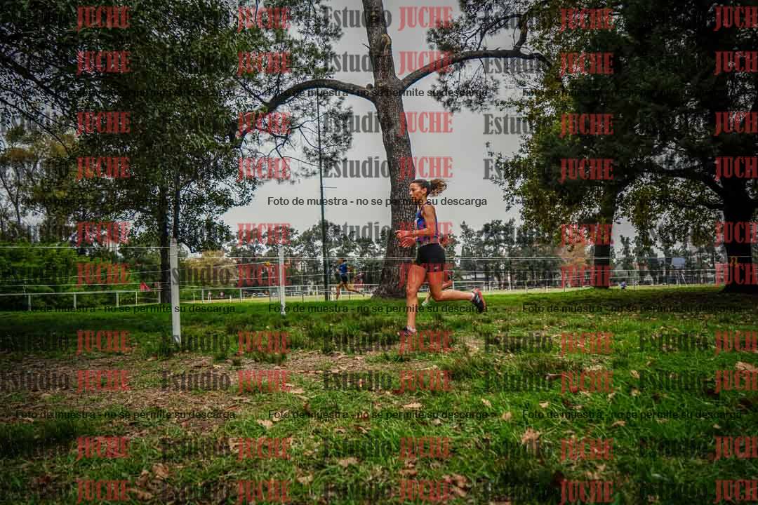 Fotos en el sexto punto del circuito