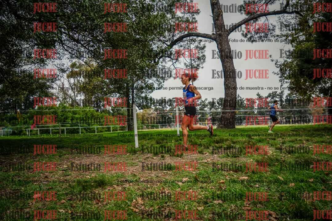 Fotos en el sexto punto del circuito
