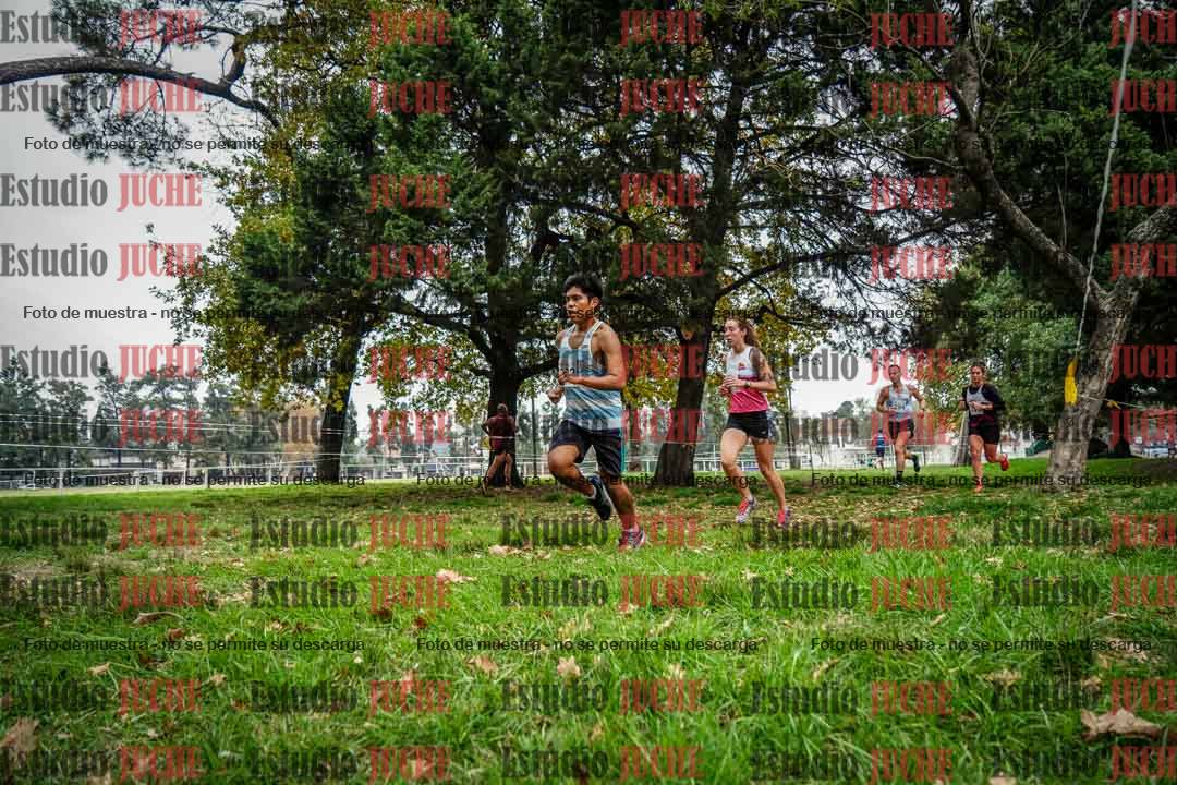 Fotos en el sexto punto del circuito