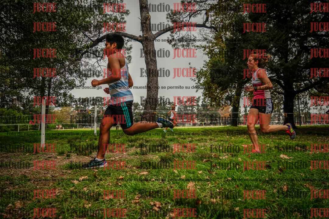 Fotos en el sexto punto del circuito