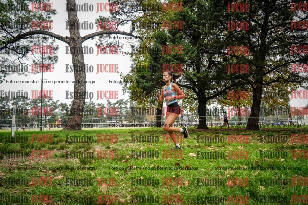 Fotos en el sexto punto del circuito