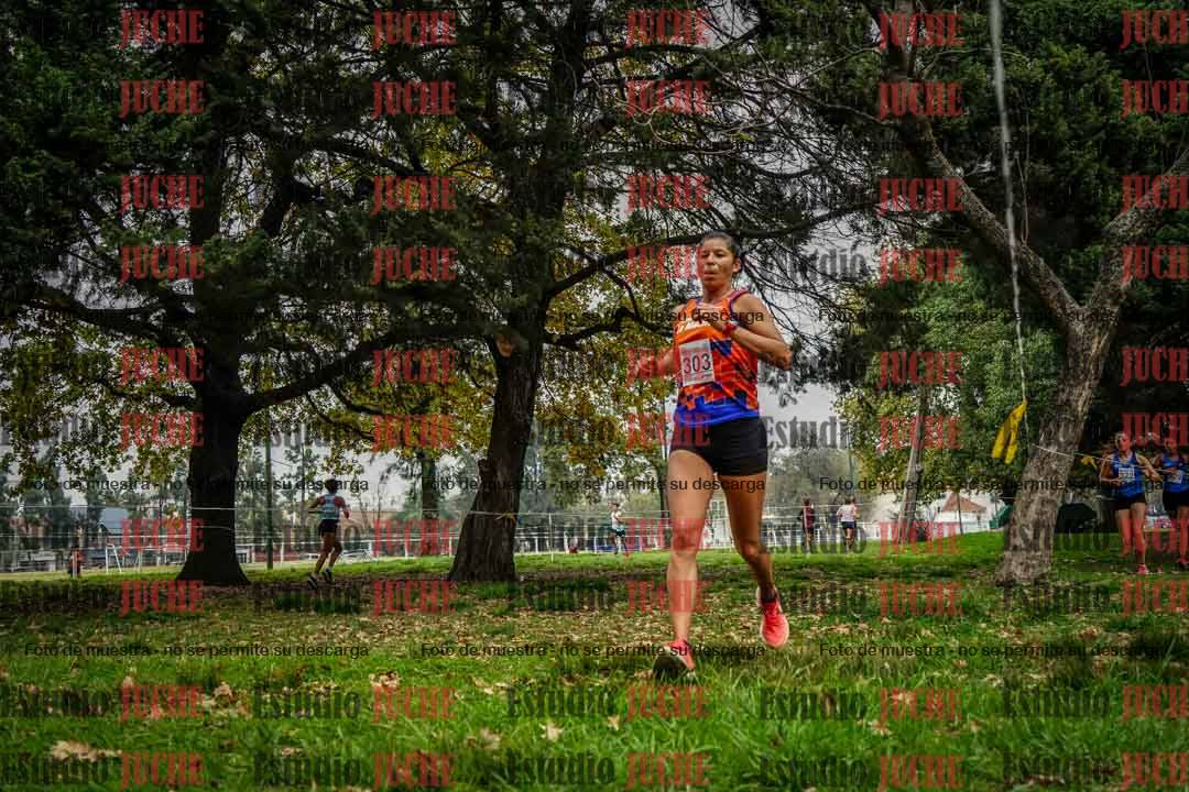 Fotos en el sexto punto del circuito