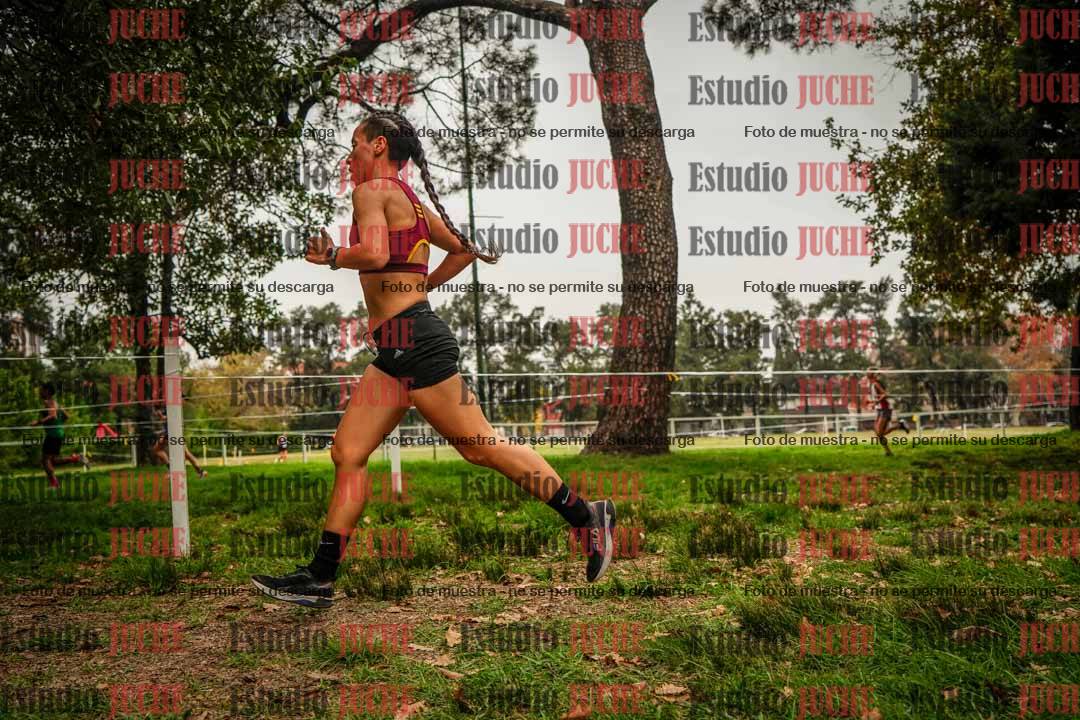 Fotos en el sexto punto del circuito