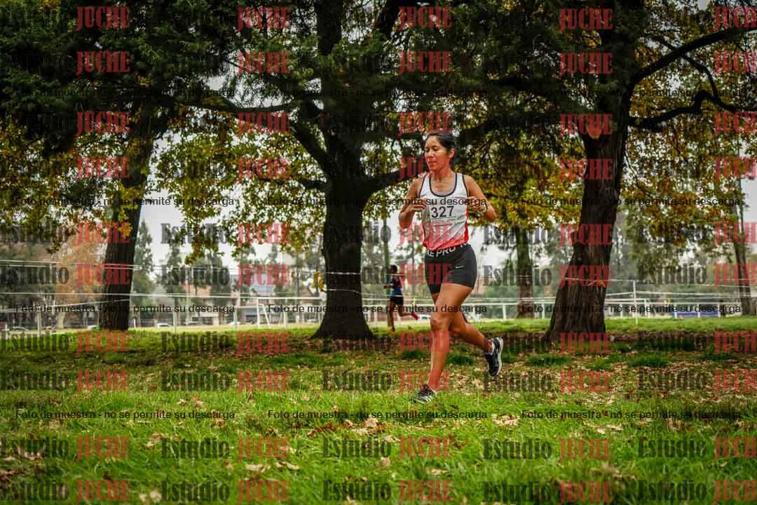 Fotos en el sexto punto del circuito